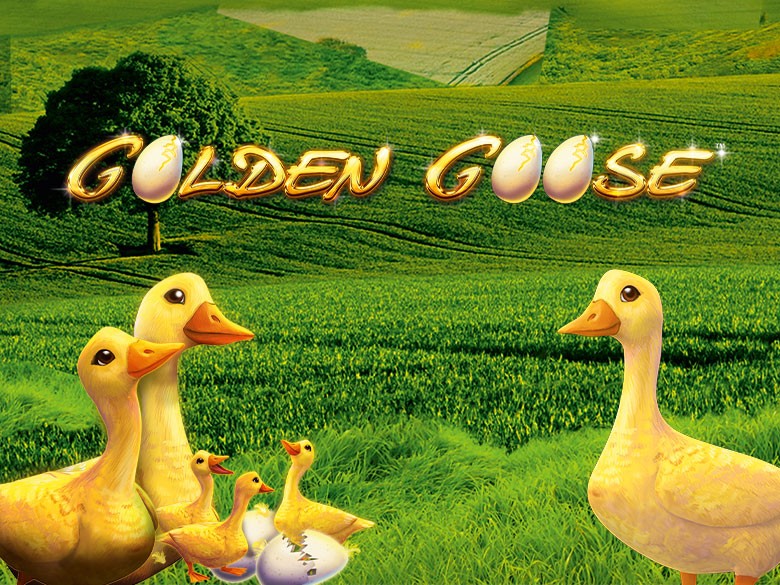 GoldenGoose-Header-Mobil